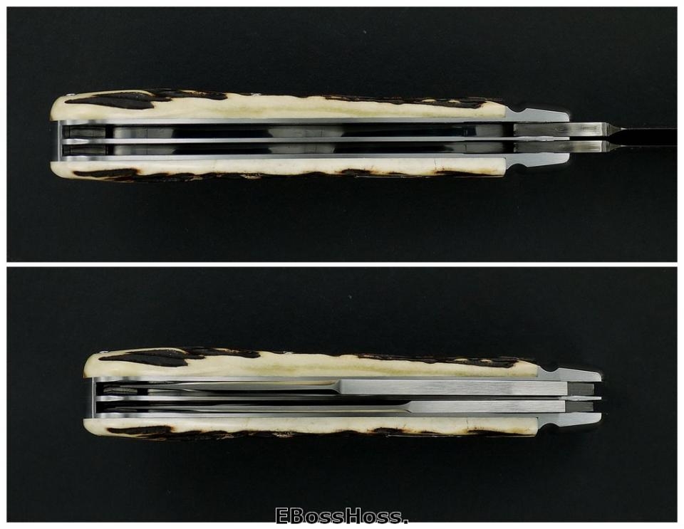 Tony Bose 4 3/4" Modified Saddlehorn Trapper